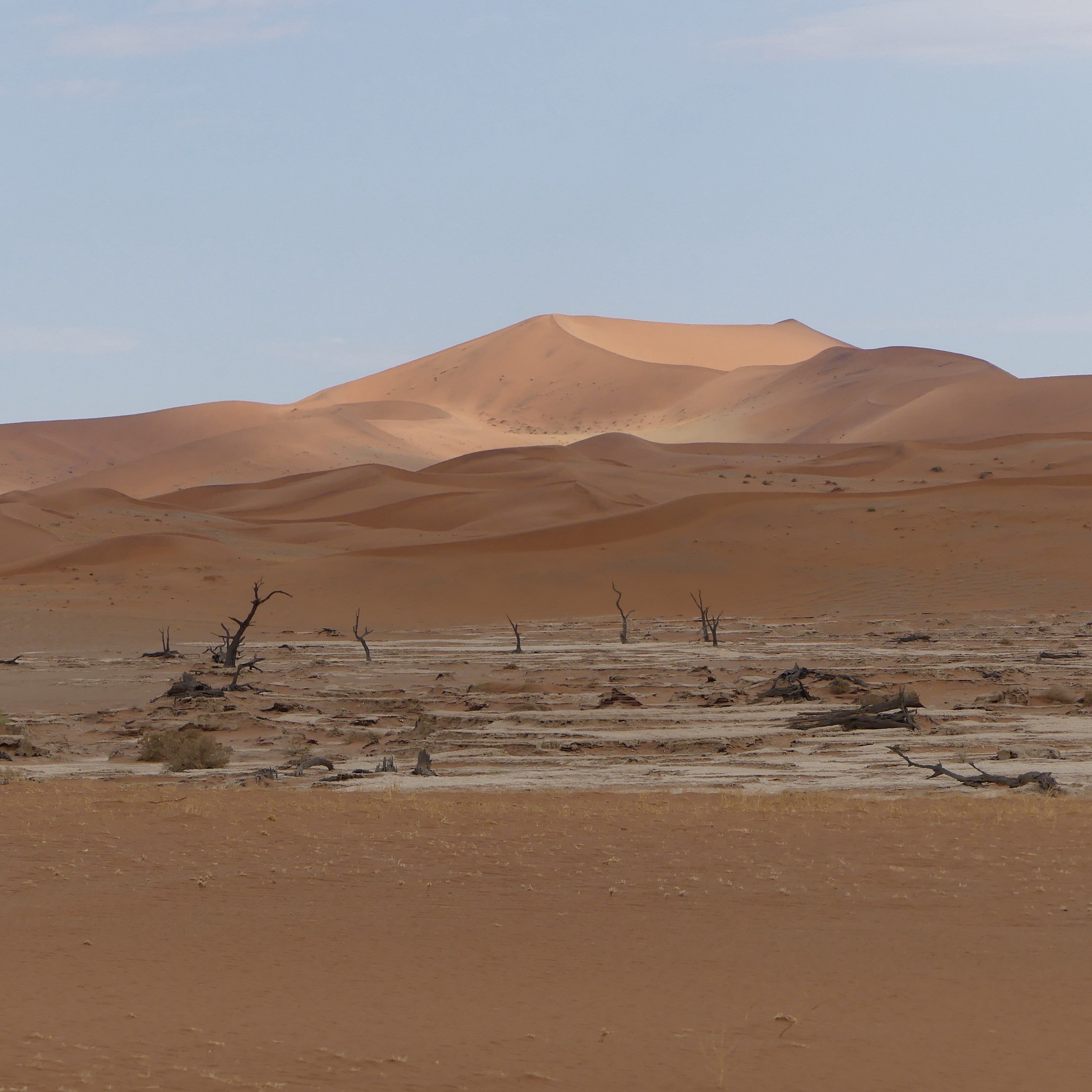 Out of Africa