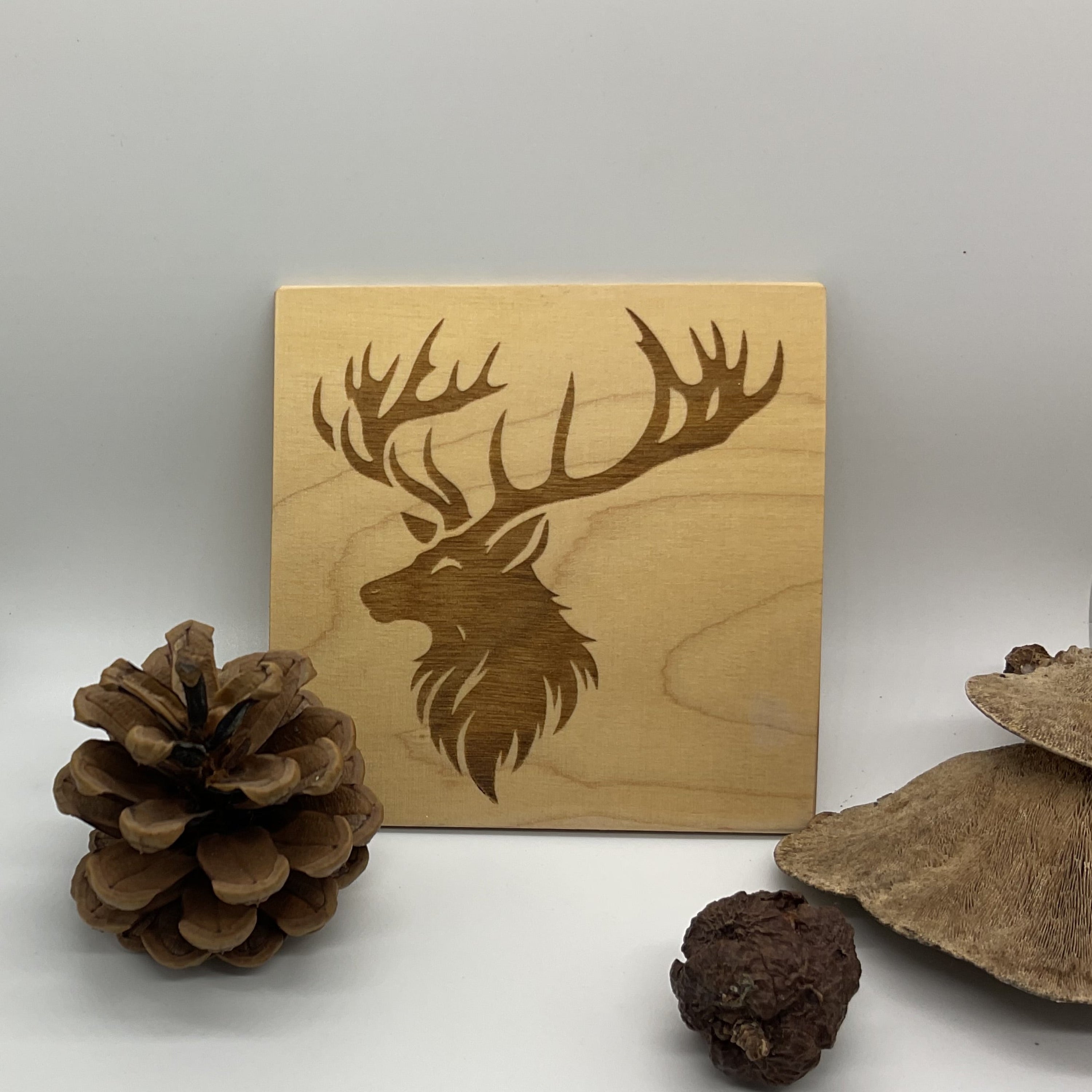 Untersetzer Fuchs, Wildschwein und Co.