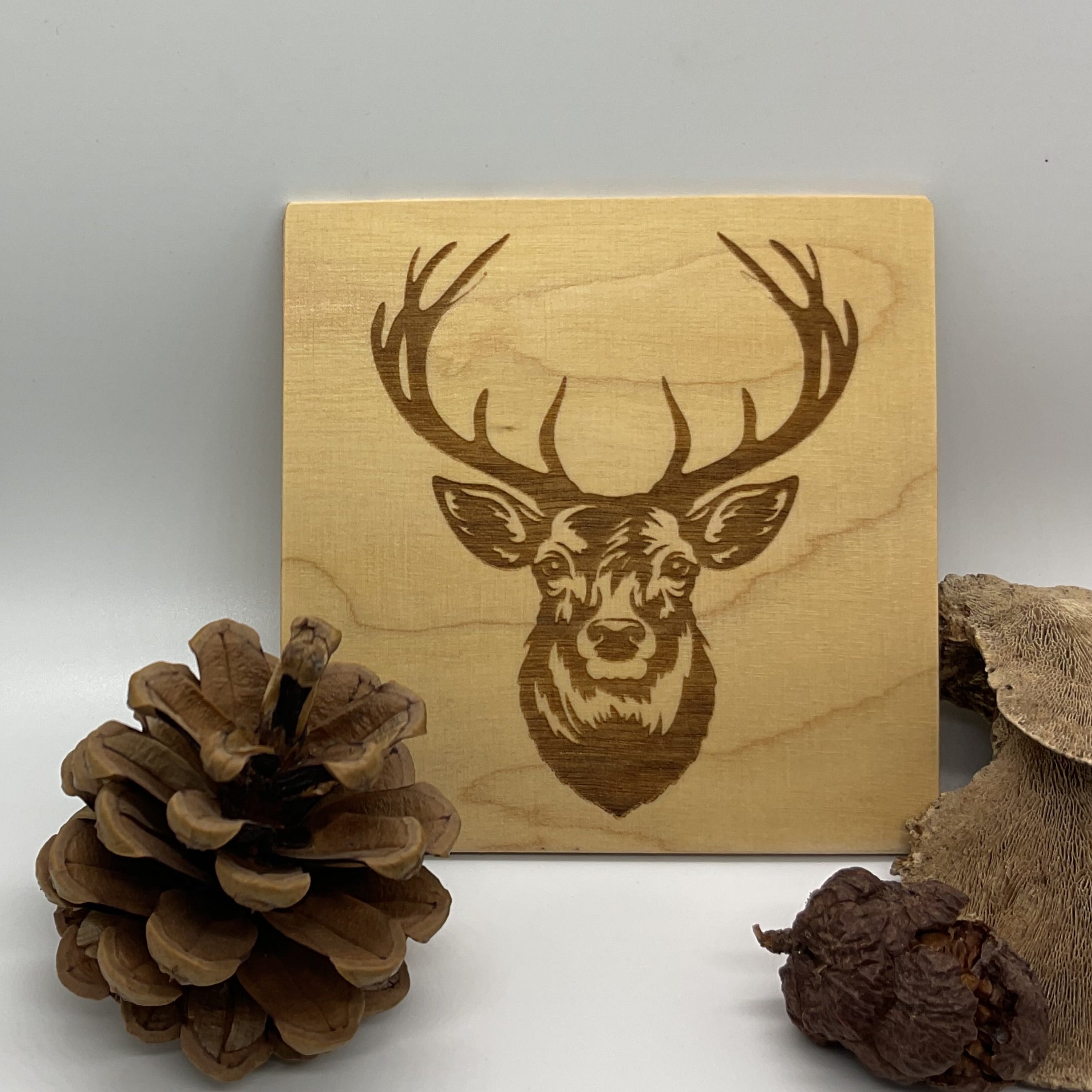 Untersetzer Fuchs, Wildschwein und Co.